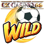 shaolin soccer s wild