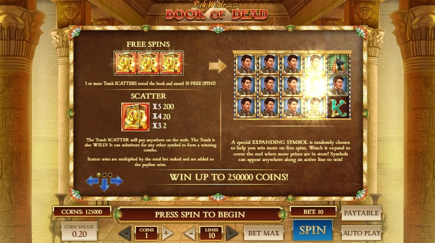 รู้จัก เพย์ไลน์ของเกมสล็อต (Paylines) เพิ่มโอกาสการชนะ ตัวอย่าง เกมสล็อตหลายไลน์